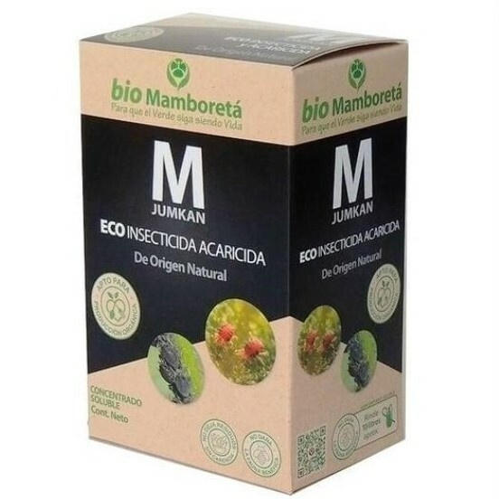 Mamboretá M Jumkan