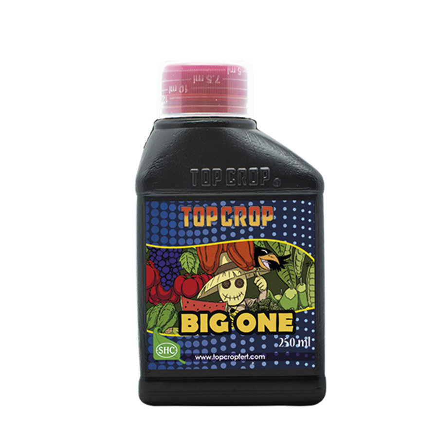 Top Crop - Big One